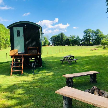 The Big Green Shepherds Hut Charlwood Exteriér fotografie