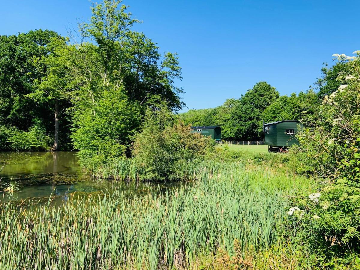 The Big Green Shepherds Hut Charlwood Exteriér fotografie